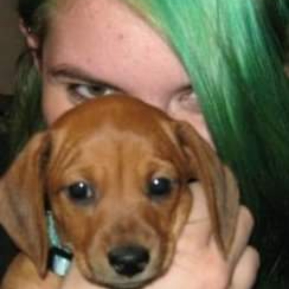 Meet your Posher, Katey